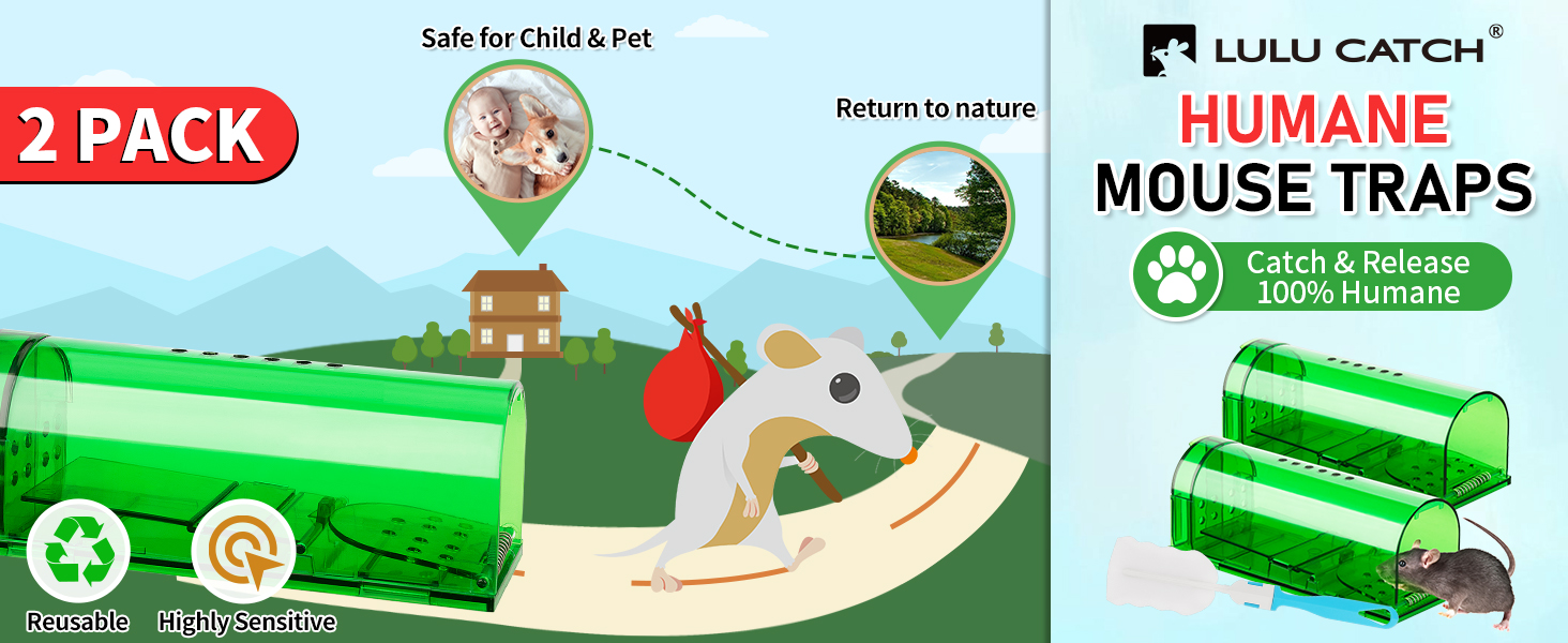 Mouse Humane Mouse Traps No Kill Live Catch and Release
