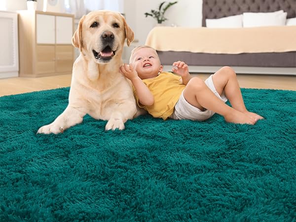 teal rug