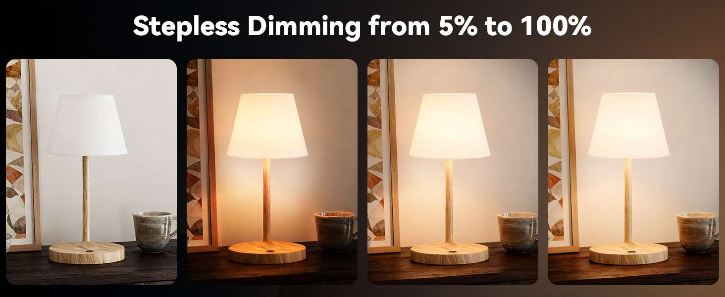 Stepless Dimming from 5% to 100%