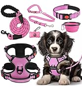 LOBEVE No Pull Dog Harness, Collar & Leash Set | Includes Dog Seat Belt, Collapsible Bowls & Poop...