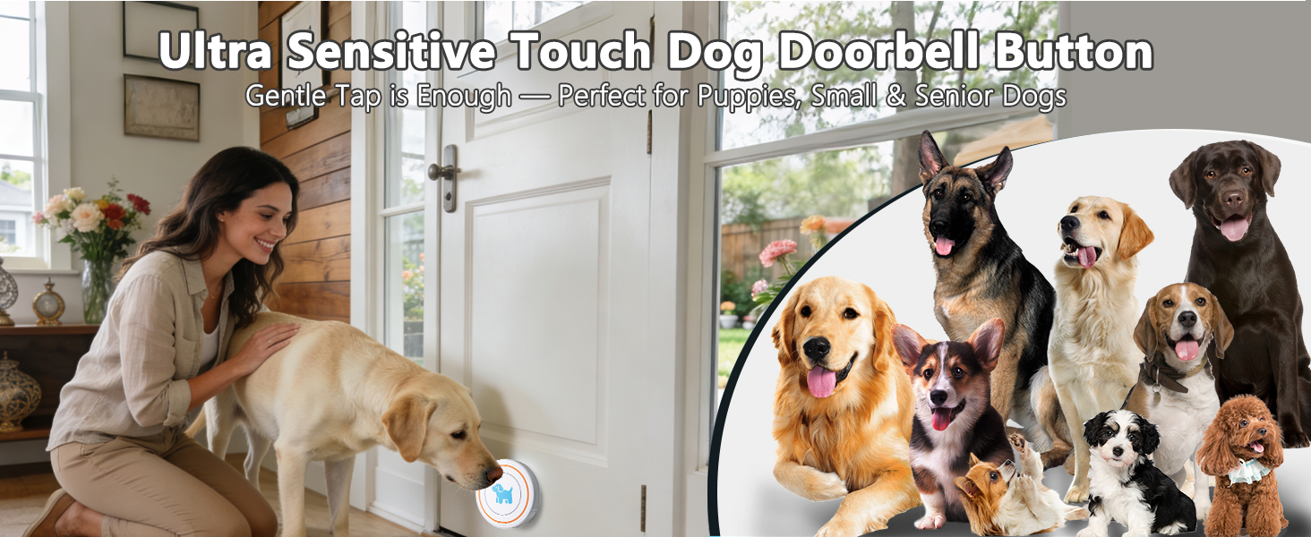 dog door bell