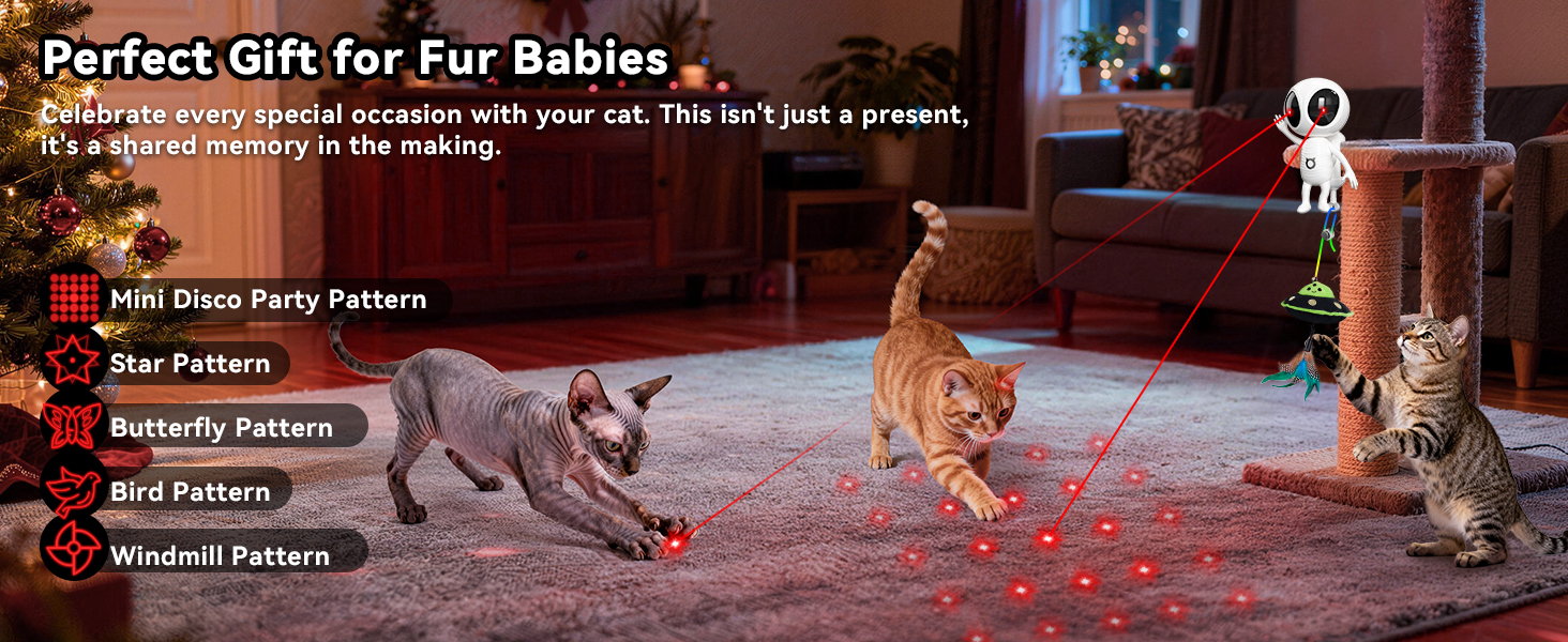 cat toys for indoor cats