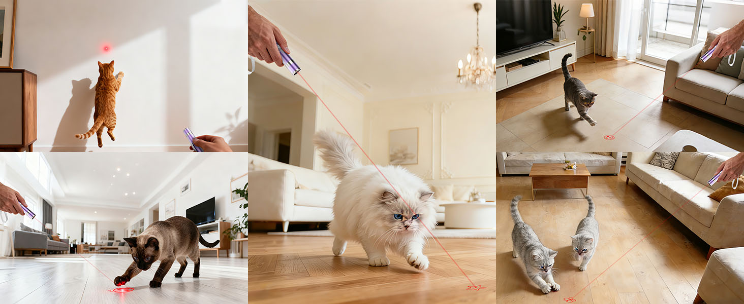 cat toy for indoor cat