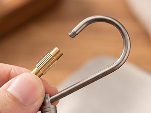 Titanium carabiner keychain