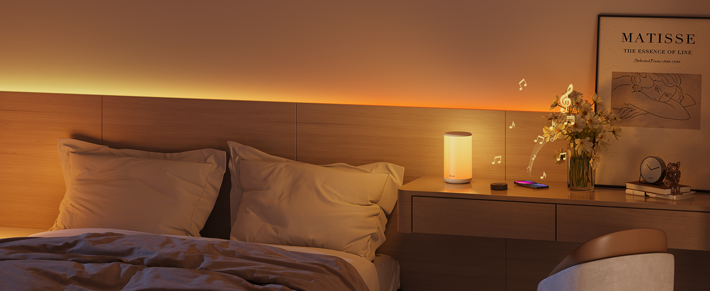 Govee Music Sync Box for Bed room