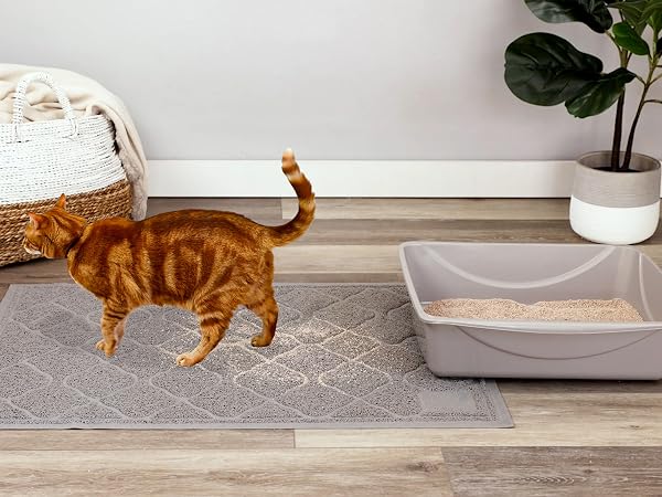 Litter Mat is Soft on Cat's Paws, Grey