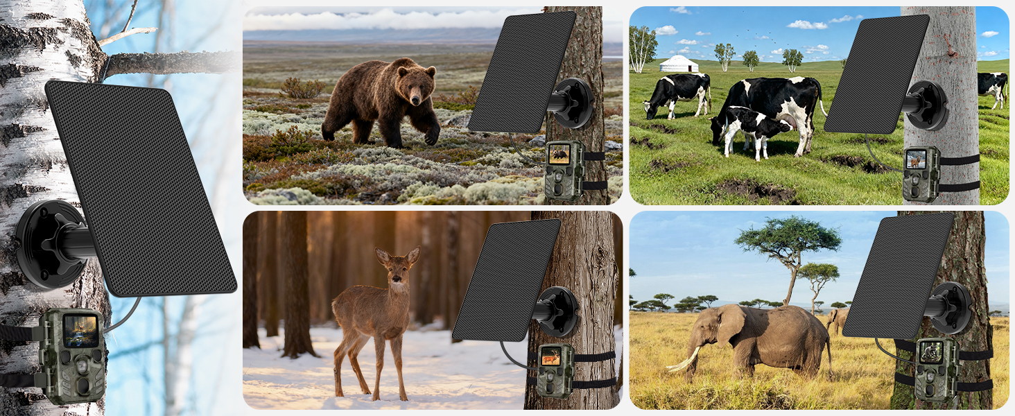 Trail Camera Solar Panel