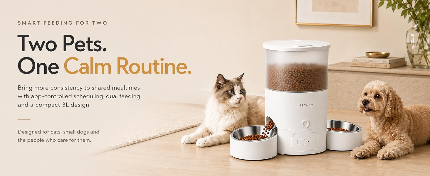 Automatic Cat Feeder