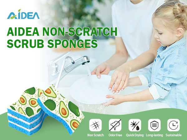 Sponges