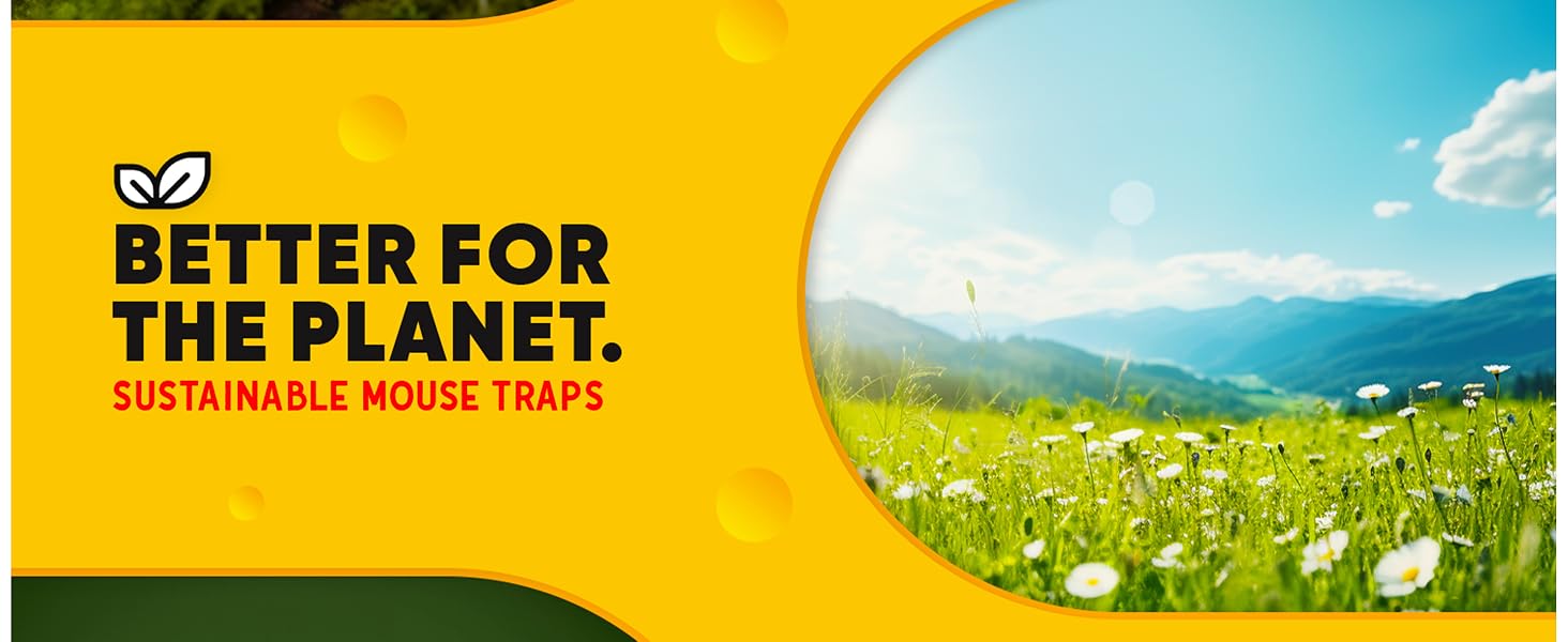 Humane Mouse Traps