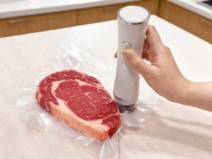 vacuum sealer