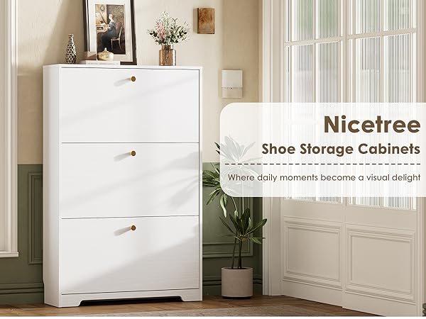 shoe cabinet