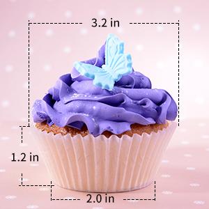 Most Popular Size