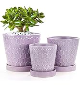 BUYMAX Succulent Planter –4”+5”+6” Ceramic Flower Pot with Drainage Hole and Ceramic Tray - Garde...