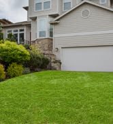 turf