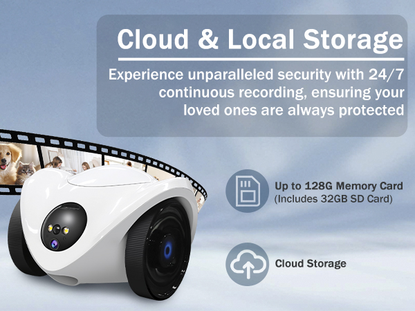 pet camera treat dispenser