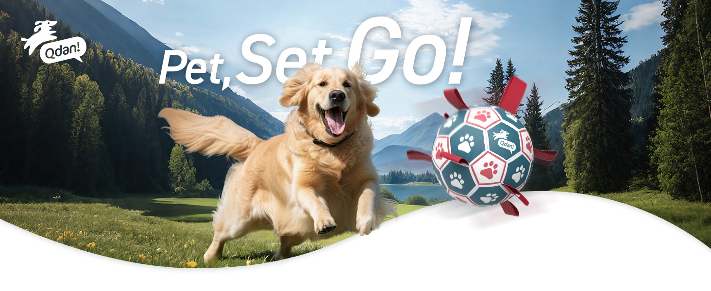 Qdan dog soccer ball with straps