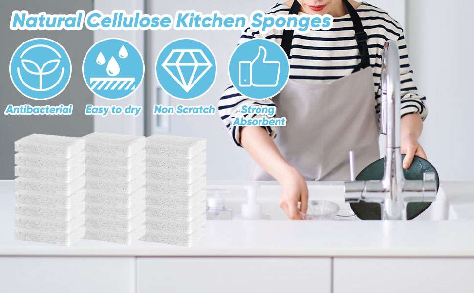 cellulose sponges