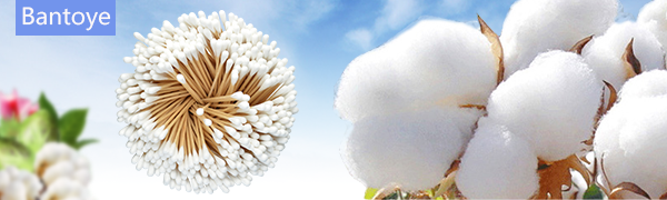 500 Pcs Swabs Cotton Sticks