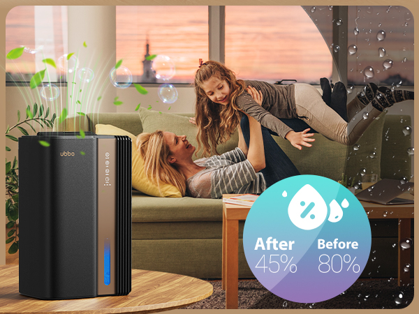 dehumidifier for basement