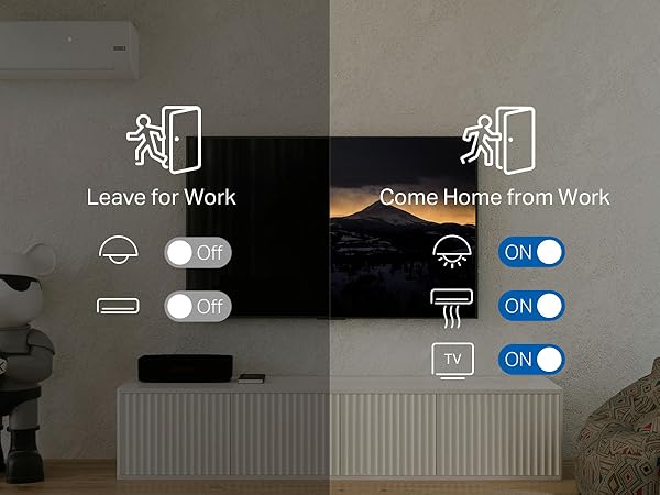 Set Custom Schedules