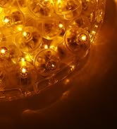 Balloon Light