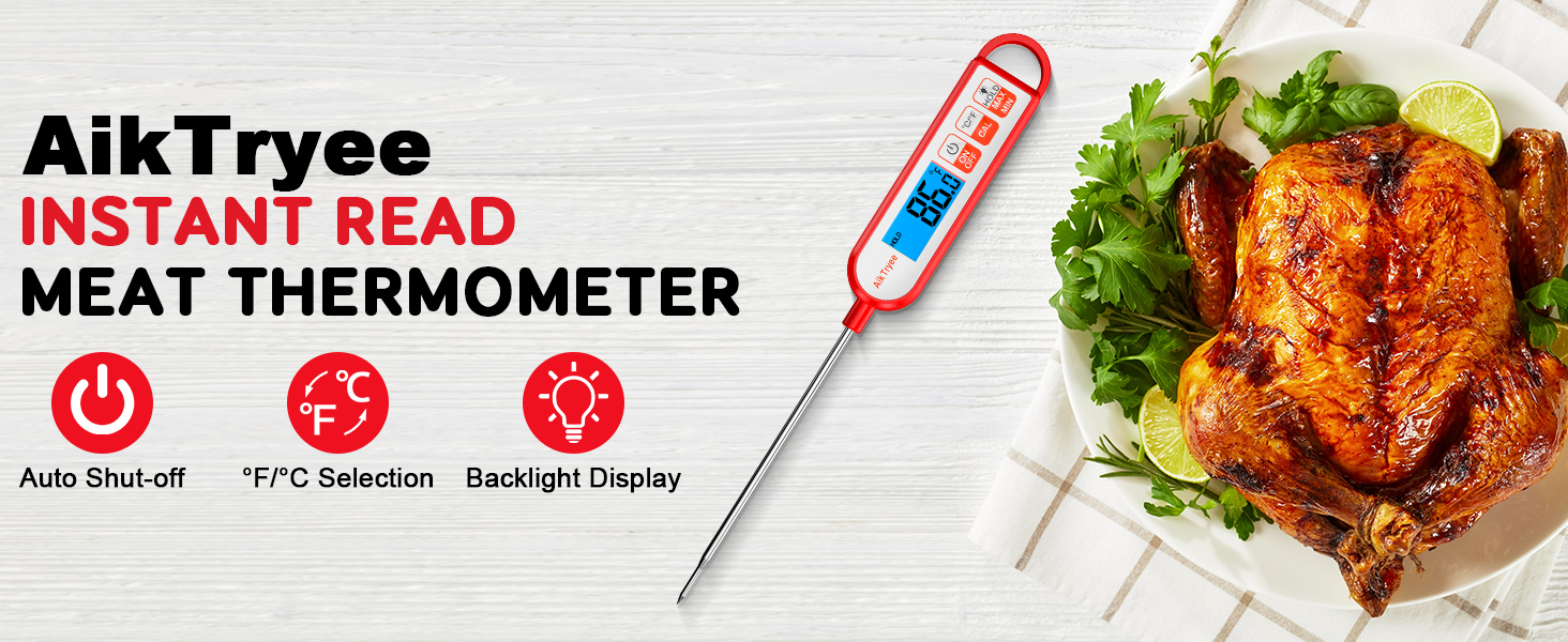 meat thermometer digital