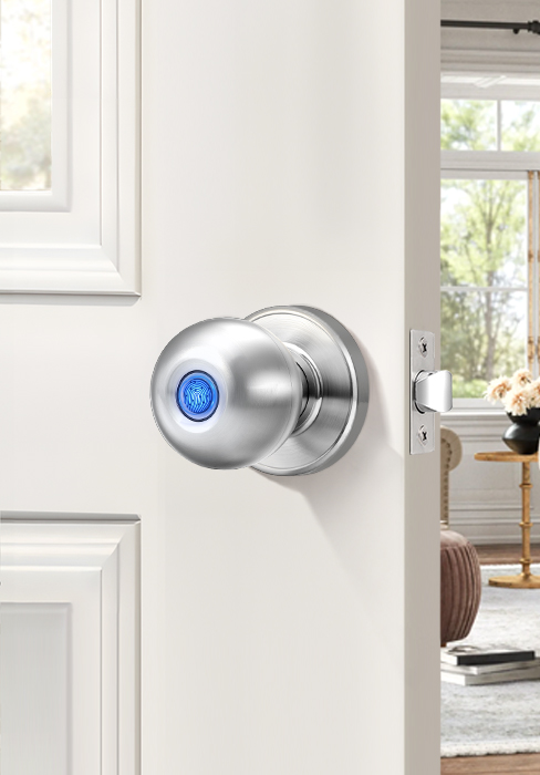 smart door knob