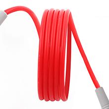 3000