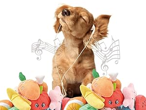 dogtoy