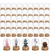 Mezchi 50 Pack Cloche Bell Jar, Mini Glass Jars with Cork Lids, 8ml Glass Dome Cloche with Base, ...