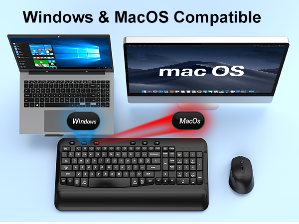 Windows & MacOS Compatible