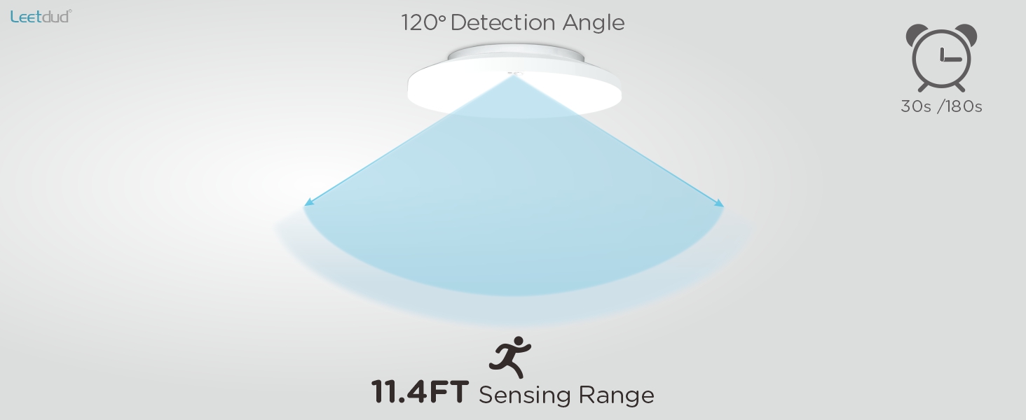 motion sensor ceiling light