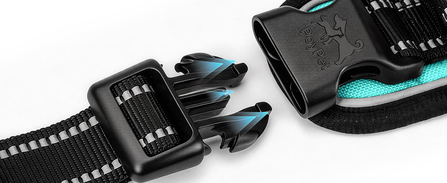 Quick-Snap Chest Buckles
