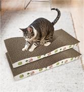 cat scracher