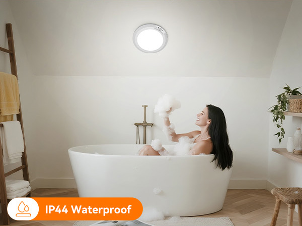 Motion Sensor Ceiling Light