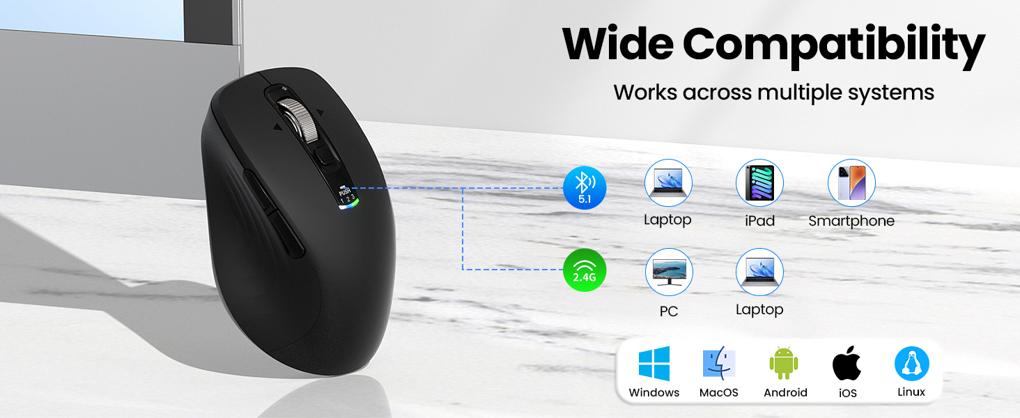 black mouse