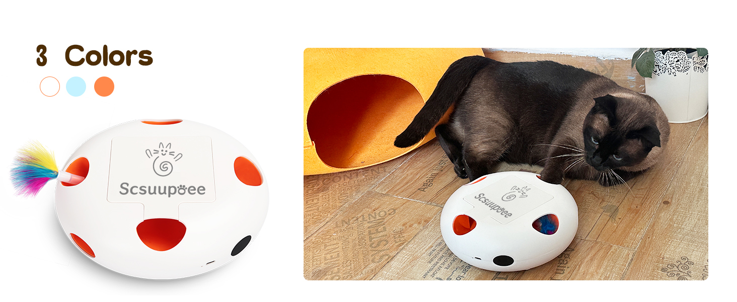 cat toys