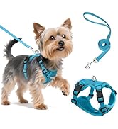 Small Dog Harness and Leash Set, Reflective Soft Breathable Mesh Vest, 3 Buckles, Adjustable Neck...