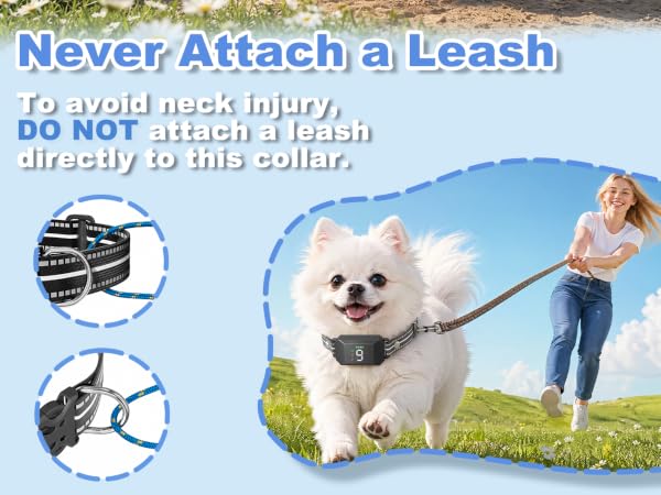 Small Shock Collar for Dogs