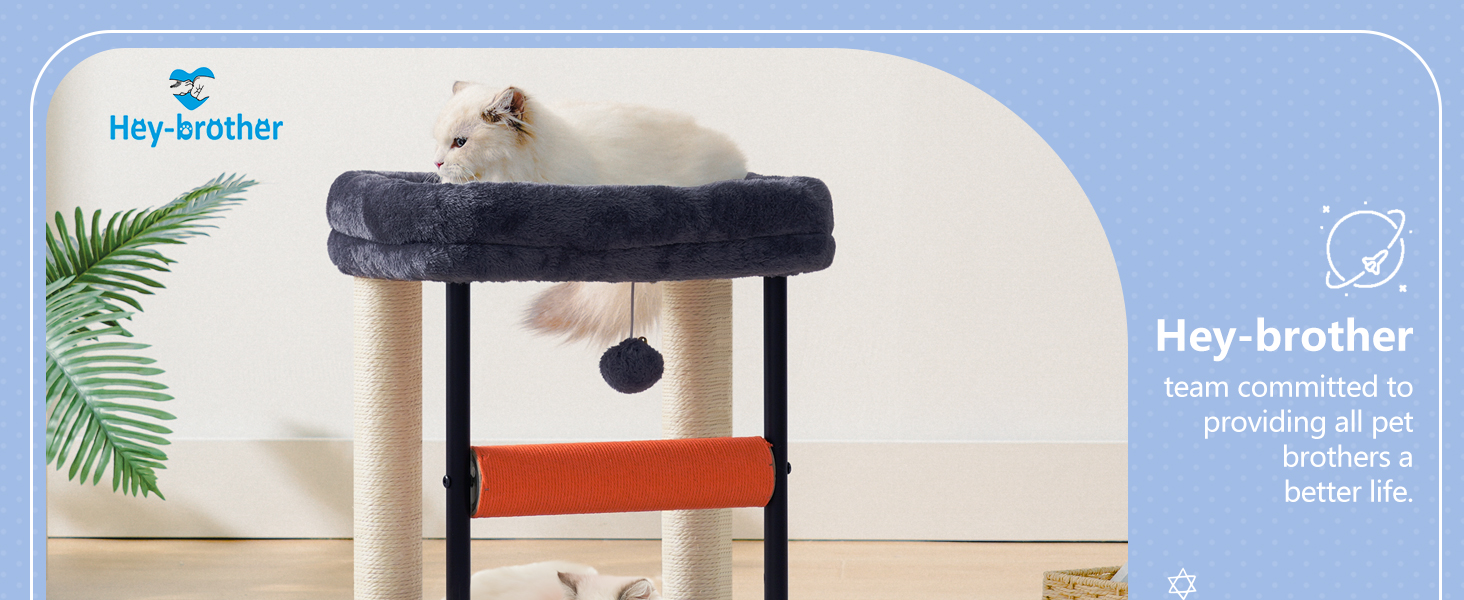 cat tree