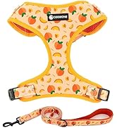 Dog Harness and Leash Set, Adjustable Dog Harness, Dog Leash, No Pull No Choke Puppy Harnesses fo...