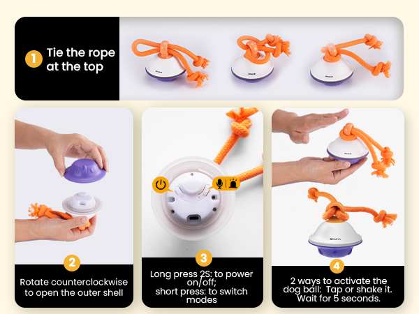 interactive dog toy
