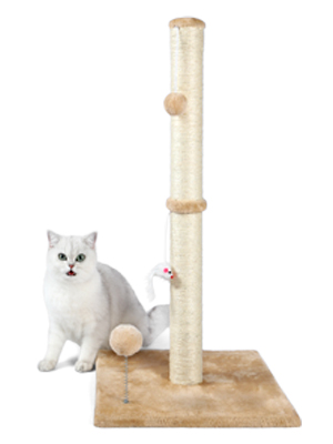 Cat sit beside the cat scratching post