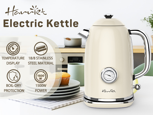 electric kettle