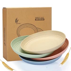 Reusable Plate Set