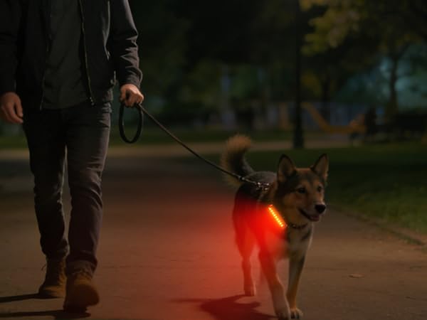 bike lights for night riding