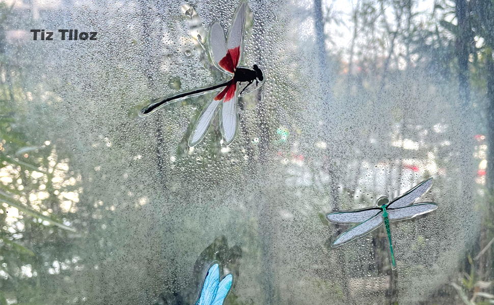 Dragonfly Static Window Decals for Bird Strikes