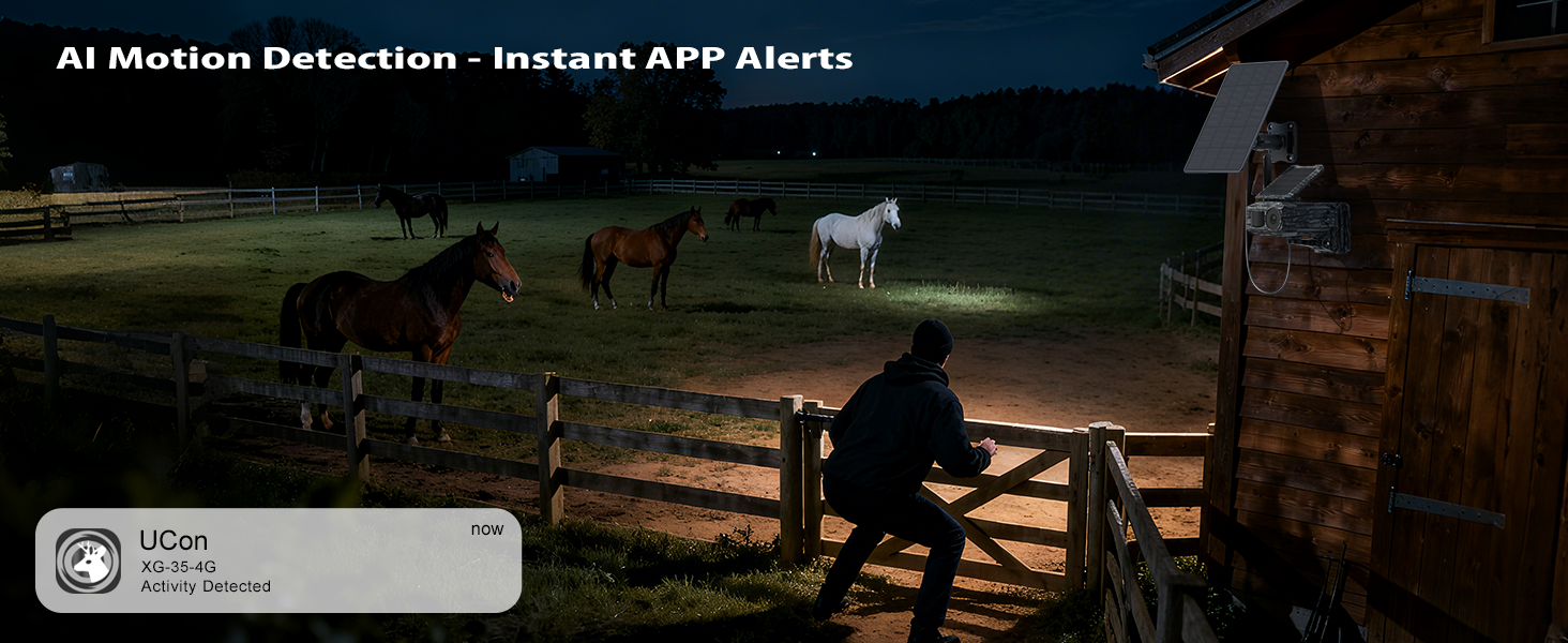 Al Motion Detection-Instant APP Alerts