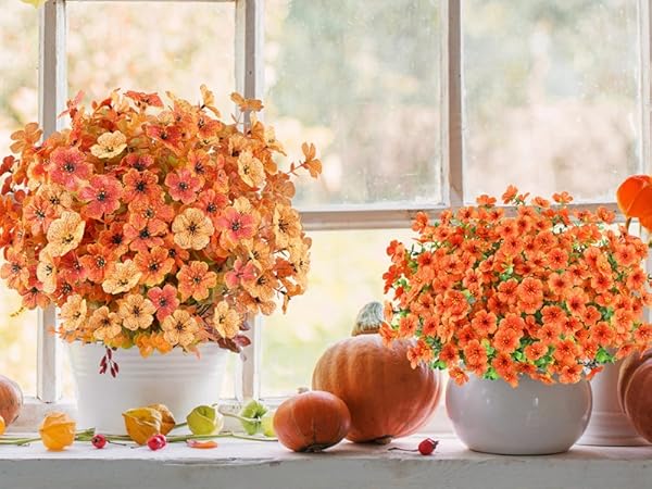 fall